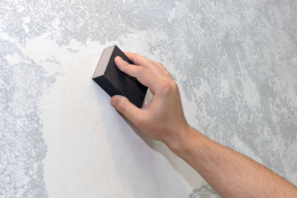 Best Mold Prevention Services  in Lebanon, IN