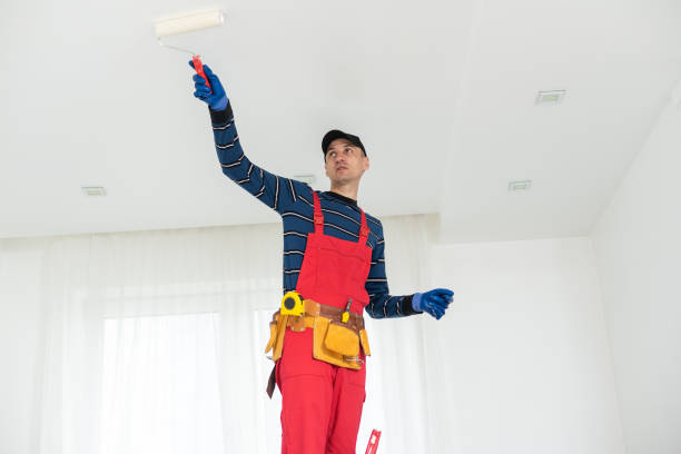 Best Basement Mold Removal  in Lebanon, IN