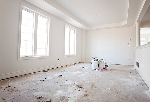 Best Mold Damage Restoration  in Lebanon, IN