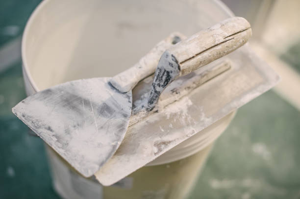 Best Post-Construction Mold Inspection  in Lebanon, IN