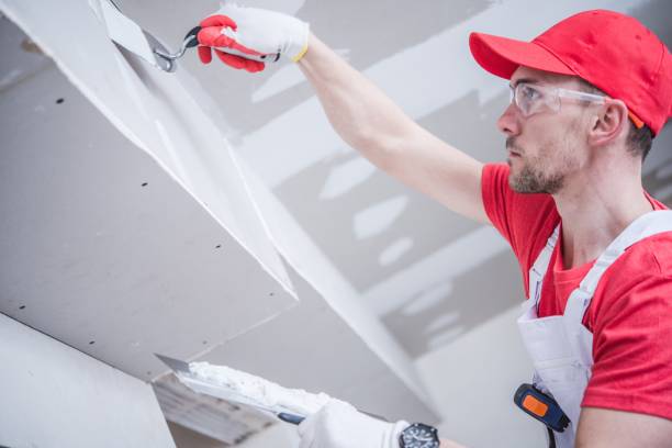 Best Black Mold Removal  in Lebanon, IN